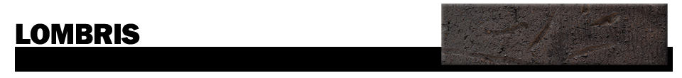 Lombris Brick